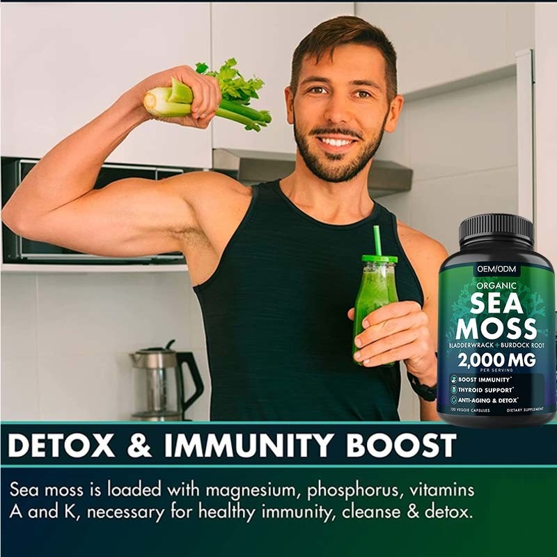 Unflavored Organic Sea Moss Capsules Wildcrafted Non GMO Sea Moss Raw 60 Gluten Free Seamoss Pills