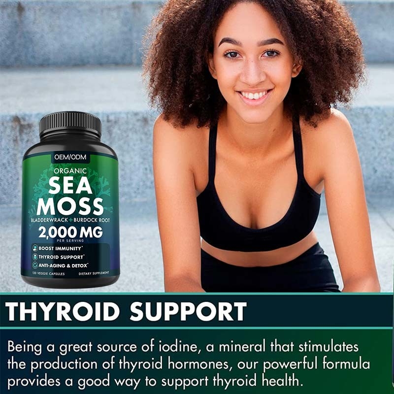 Unflavored Organic Sea Moss Capsules Wildcrafted Non GMO Sea Moss Raw 60 Gluten Free Seamoss Pills