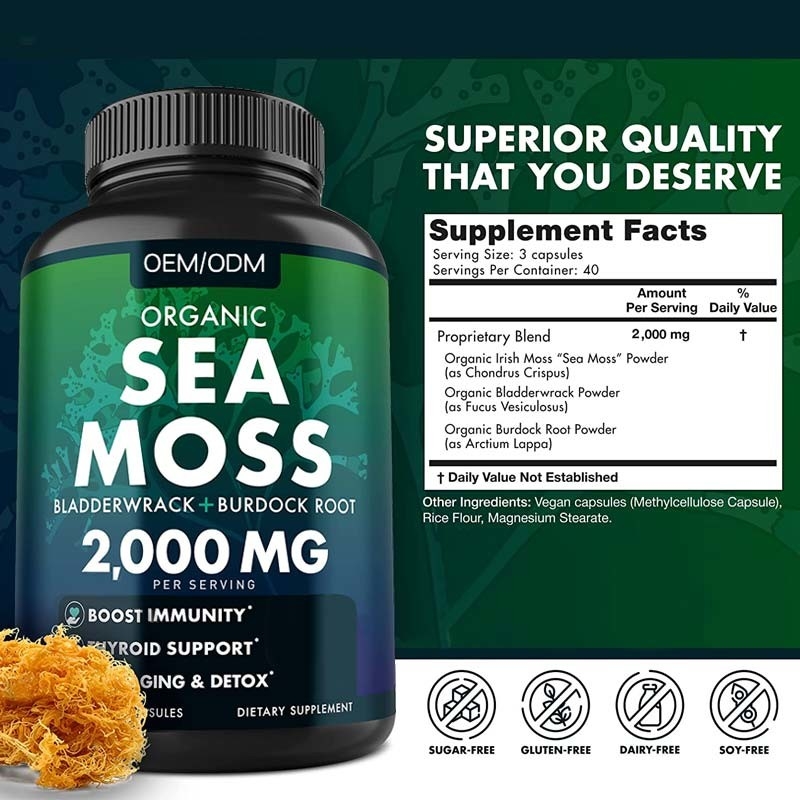 Unflavored Organic Sea Moss Capsules Wildcrafted Non GMO Sea Moss Raw 60 Gluten Free Seamoss Pills