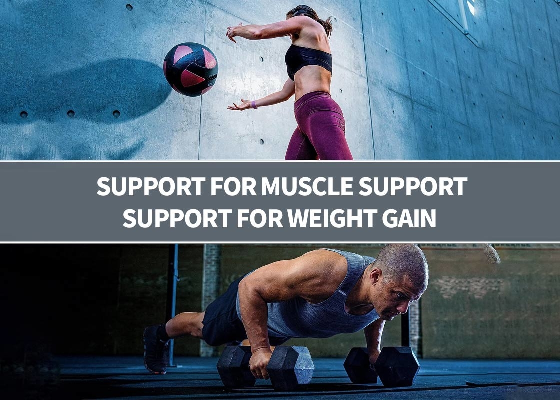 Super Mass Gainer Protein Powder For Muscle Support Protein Powder Immunity Booster Supplement