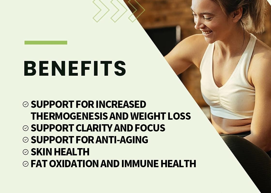 Green Tea Weight Loss Pills Dietary Supplements Suppot For Fat Oxidation Immune Health