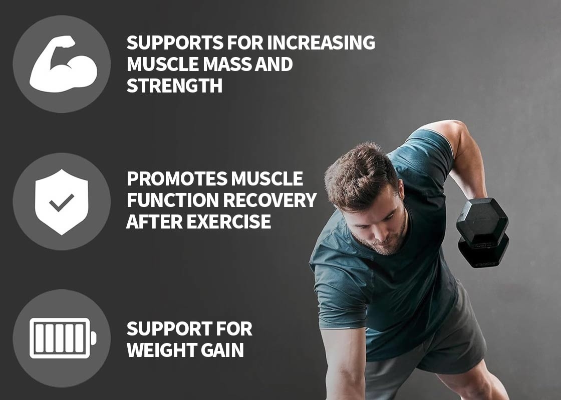 MSDS Chocolate Milkshake Protein Powder Supports For Increasing Muscle Mass Strength Immunity Booster Supplement