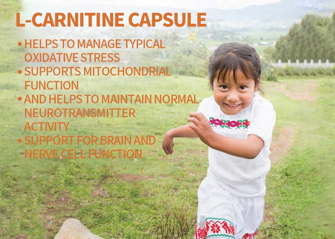 OEM L-Carnitine Capsule Support For Brain And Nerve Cell Function Veggie Capsules Supports For Memory And Focus