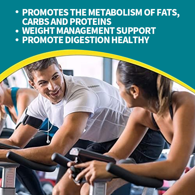 Probiotic Capsules For Healthy Metabolism Weight Management Gut Health Supplement Weight Loss Capsules