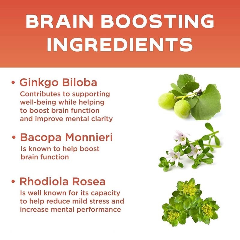OEM Support Vital Vitamins Brain Supplements for Memory Vitamin B12 Brain Capsules