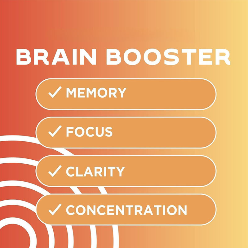OEM Support Vital Vitamins Brain Supplements for Memory Vitamin B12 Brain Capsules