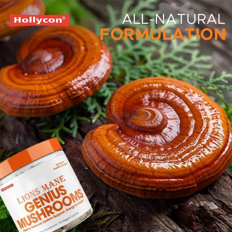 Manufacturer Mushroom Supplement Lions Mane Capsules Help Liver Kidney Memory Support  Immune