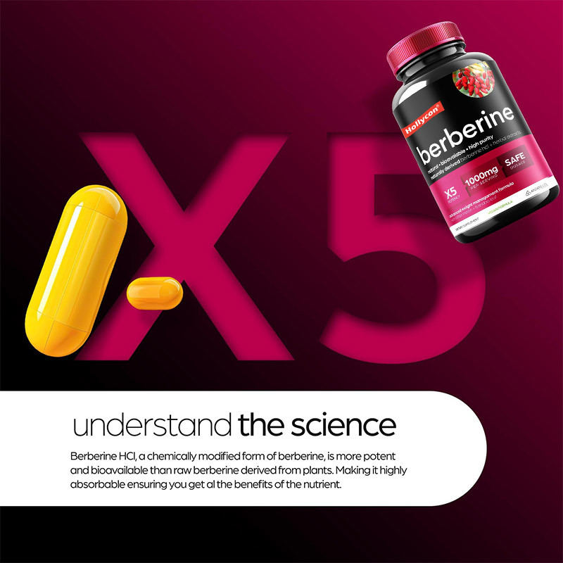 OEM Berberine Capsules Berberin HCL Appetite Suppressant Supplement Slimming Pills For Losing Weight