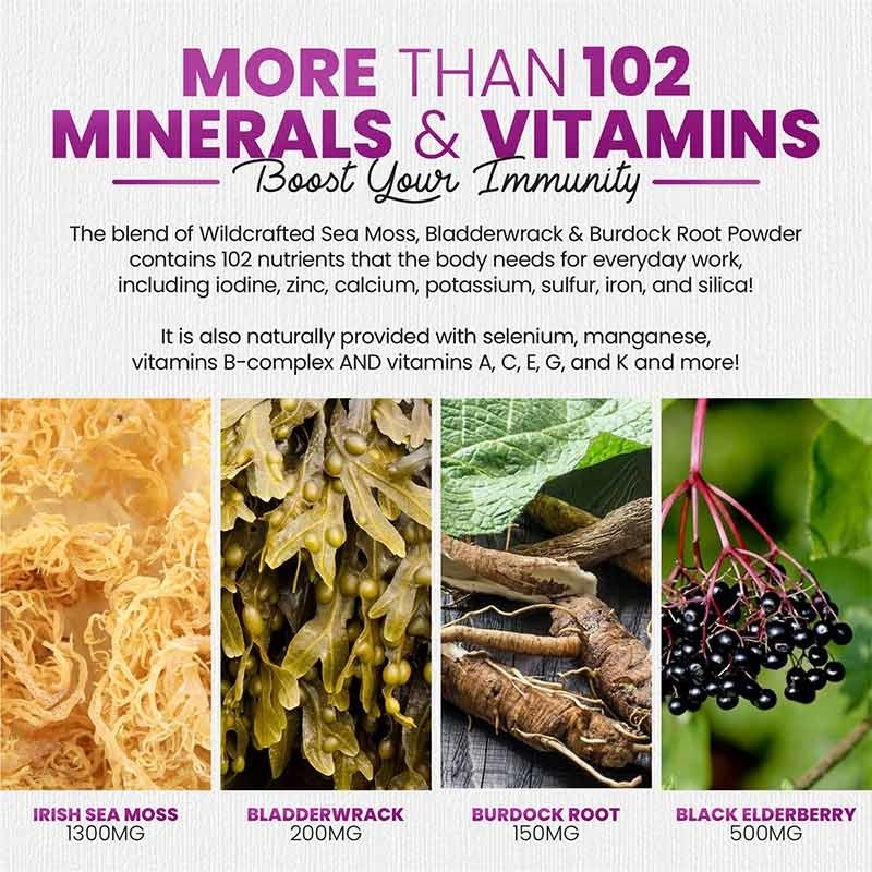 Sea Moss Gummies For Strong Hair Irish Sea Moss Gummies For Immune Support