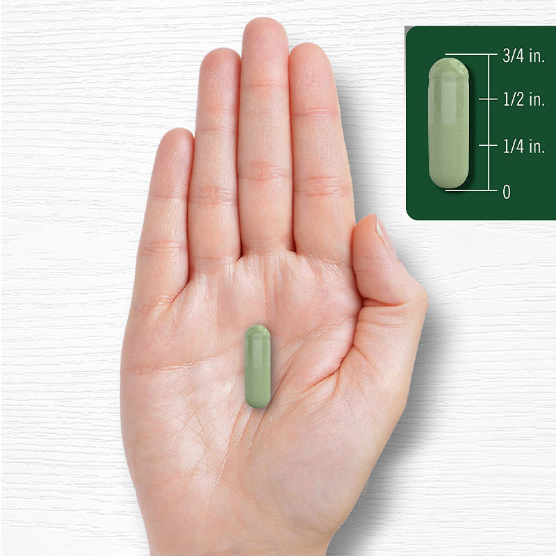 Moringa Powder Capsules For Joint Support Moringa Powder Supplement For Good Sleep