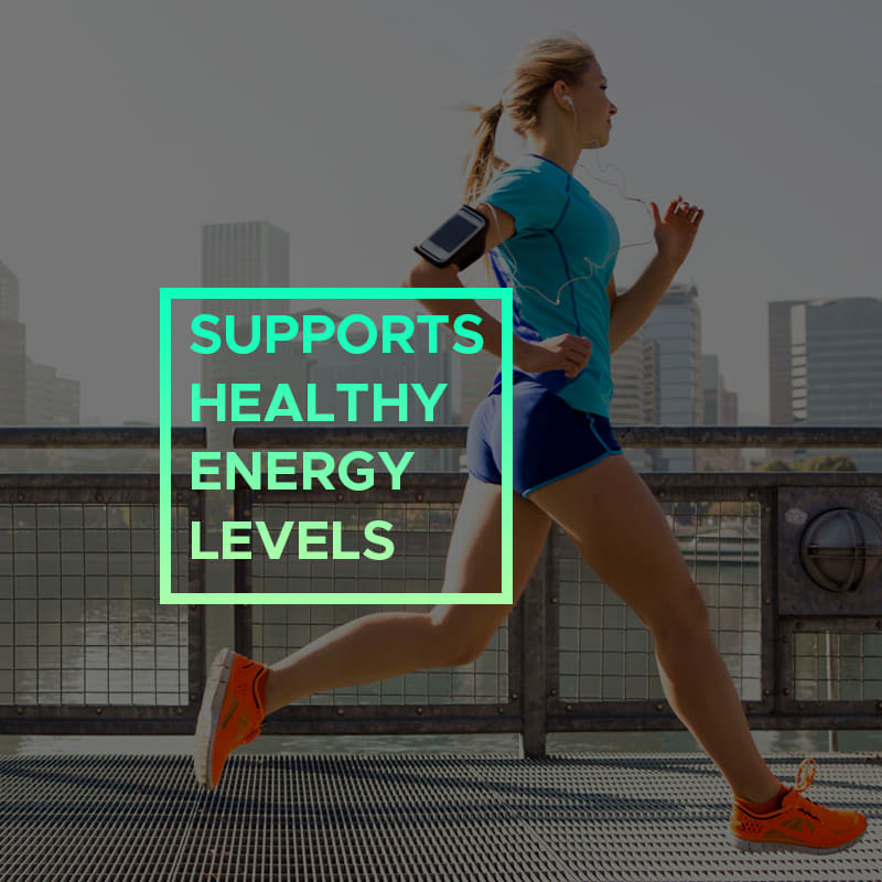 Moringa Powder Capsules For Support Healthy Energy Levels Moringa Powder Capsules