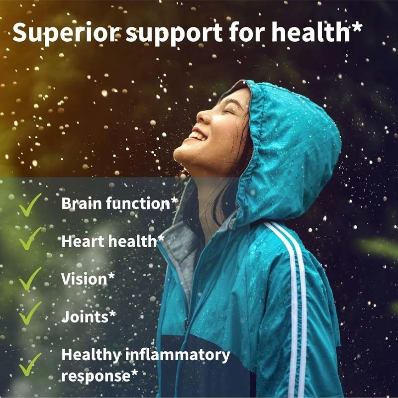 Triglyceride Omega 3 Wild Fish Oil For Brain Function Heart Eye And Skin Health