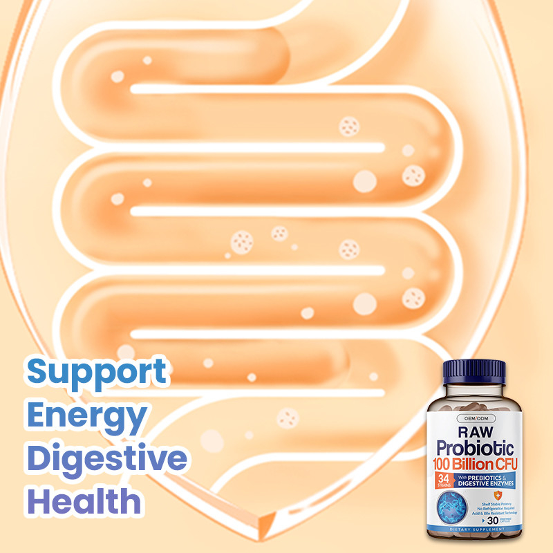 Organic Probiotics Hard Capsules For Strengthen Immune System Organic Prebiotic Complex