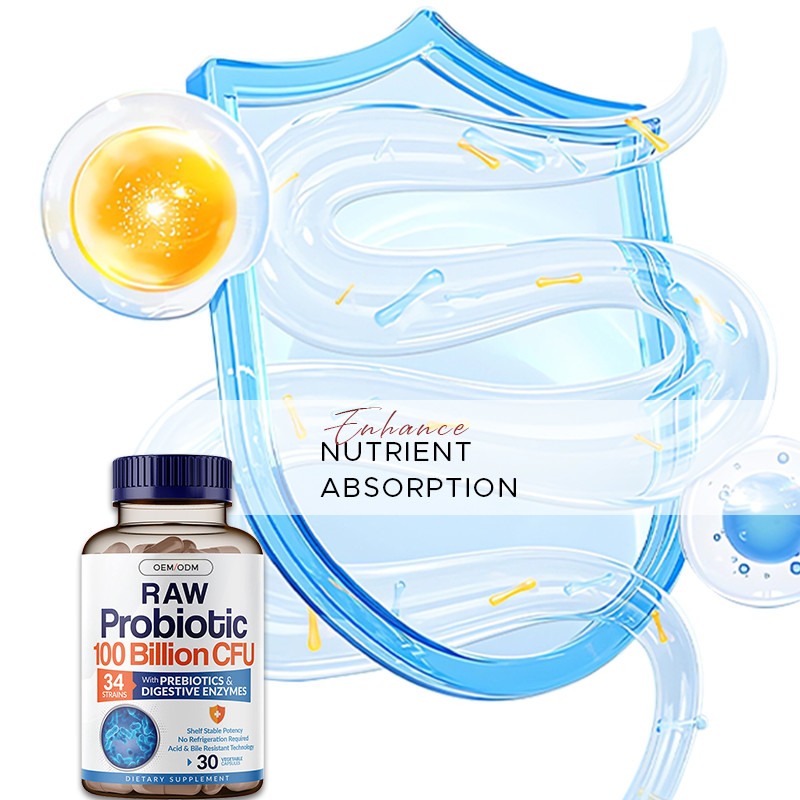 Organic Probiotics Hard Capsules For Strengthen Immune System Organic Prebiotic Complex
