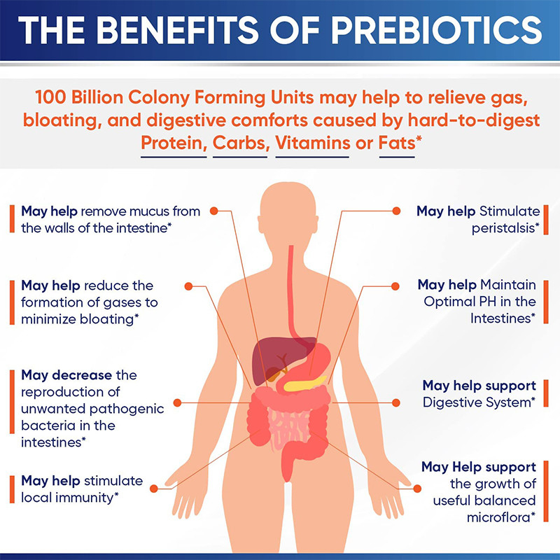 Organic Probiotics Hard Capsules For Strengthen Immune System Organic Prebiotic Complex