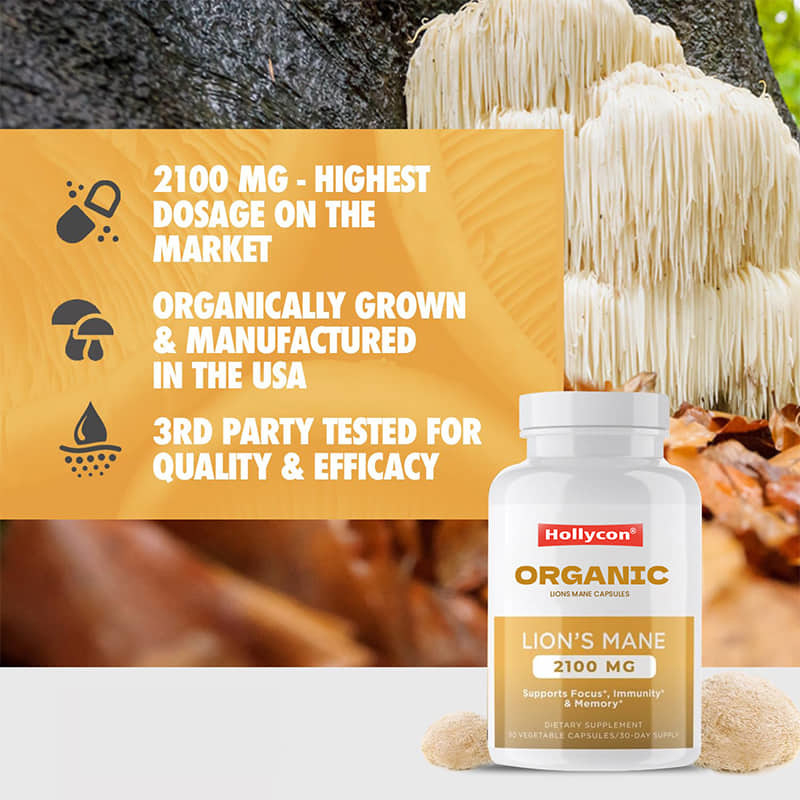 Customized Organic Lions Mane Capsules Promote Focus Mental Clarity Cognition Improve Gut Health