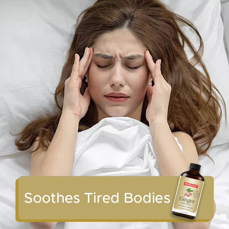 High Quality Ginger Essential Oil For Natures Hair Pure And Natural Ginger Oil