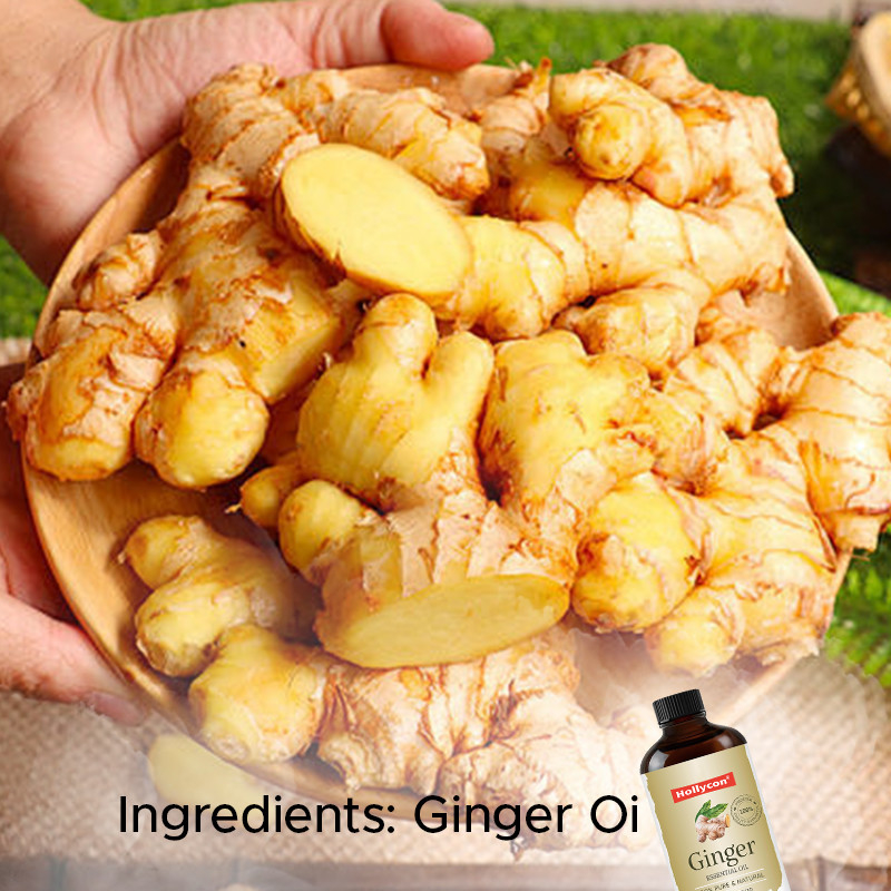 High Quality Ginger Essential Oil For Natures Hair Pure And Natural Ginger Oil