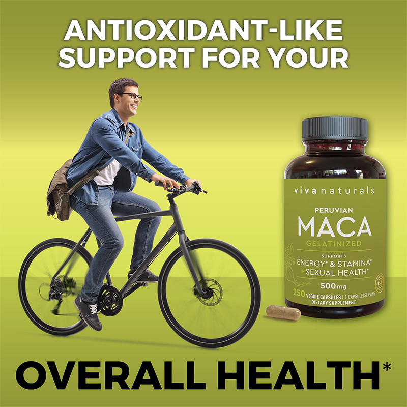 OEM Maca Root Capsules For Men Organic Maca Root  For Mood Support Maca Capsules