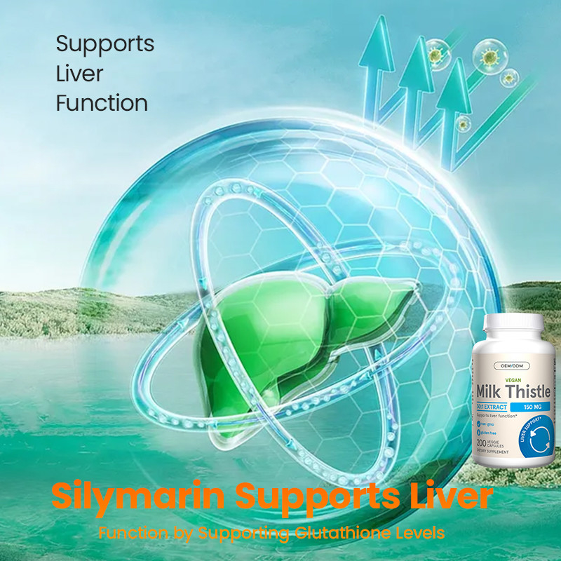 High Quality Milk Thistle Capsules For Liver Function Support Milk Thistle Capsules