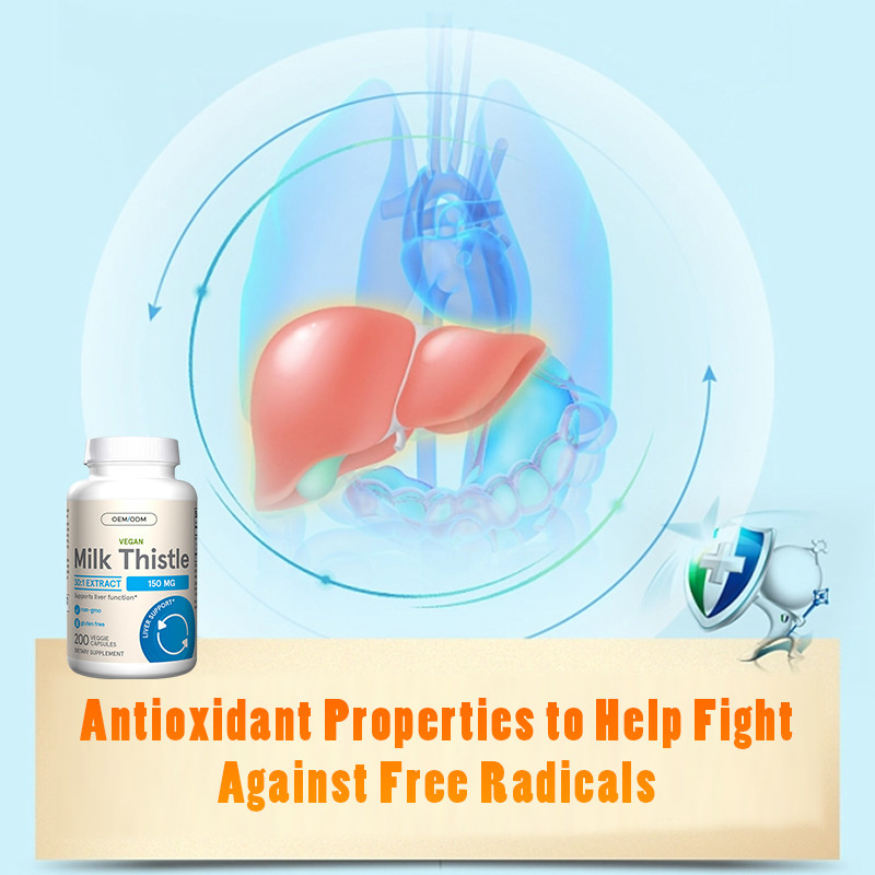 High Quality Milk Thistle Capsules For Liver Function Support Milk Thistle Capsules