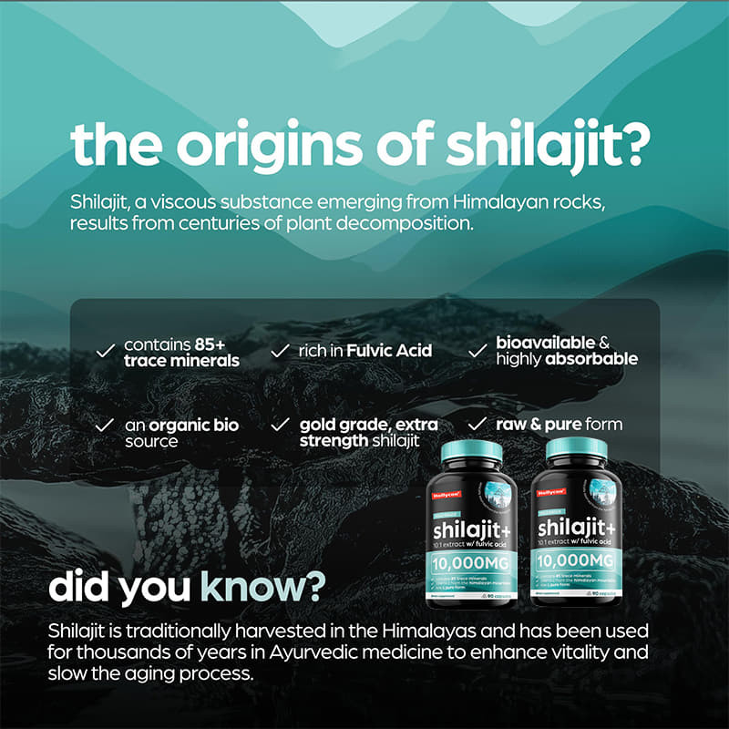 OEM Pure Himalayan Shilajit 10000mg Organic Shilajit Capsules For Immune Support