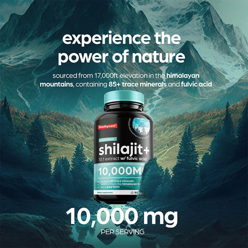 OEM Pure Himalayan Shilajit 10000mg Organic Shilajit Capsules For Immune Support