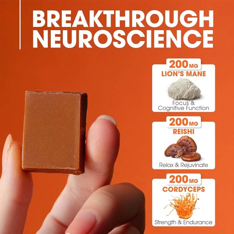 Factory Plant Cordyceps Nootropic Mushroom Support Energy Focus Brain Health Immunity Ganoderma Lucidum Mushroom Soft Chews