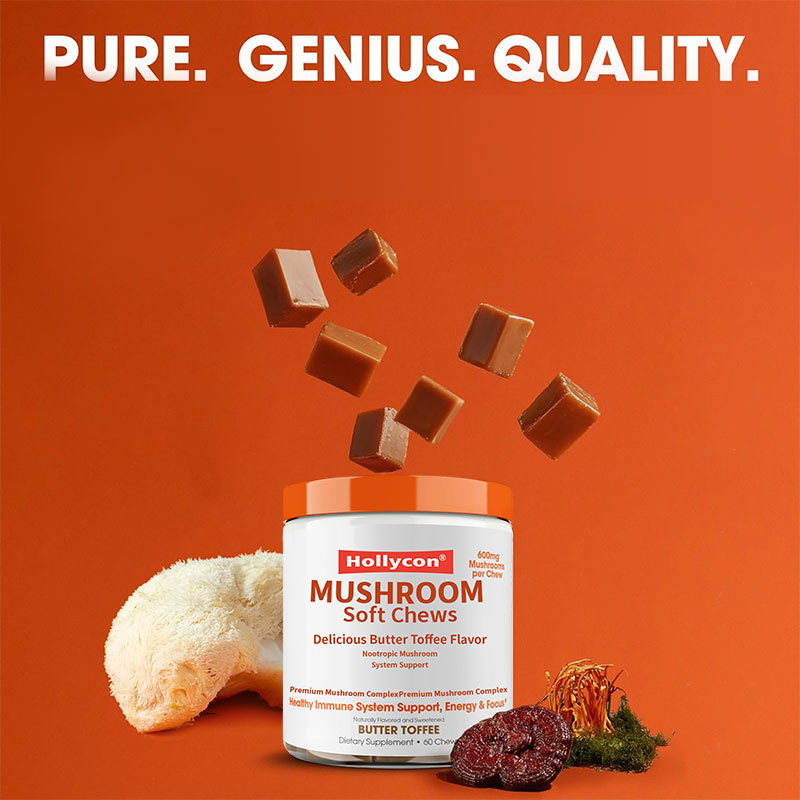 Factory Plant Cordyceps Nootropic Mushroom Support Energy Focus Brain Health Immunity Ganoderma Lucidum Mushroom Soft Chews