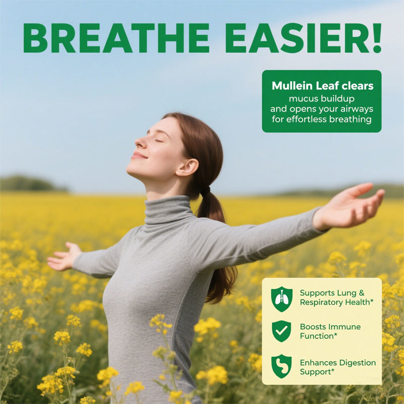 Premium Mullein Leaf Extract For Lungs 2000mg Mullein Gummies Lungs Detox Respiratory Digestive Immune Support
