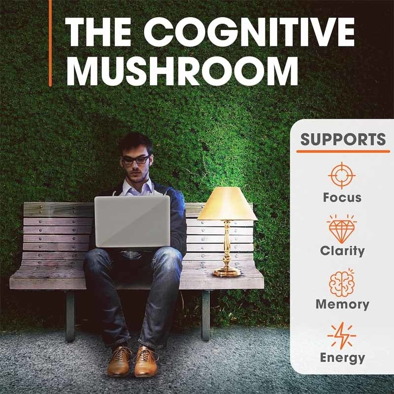 Factory Supports Clarity Focus Combat Oxidative Stress Supporting Overall Wellness Vitality Lions Mane Cognition Vitamins Capsules
