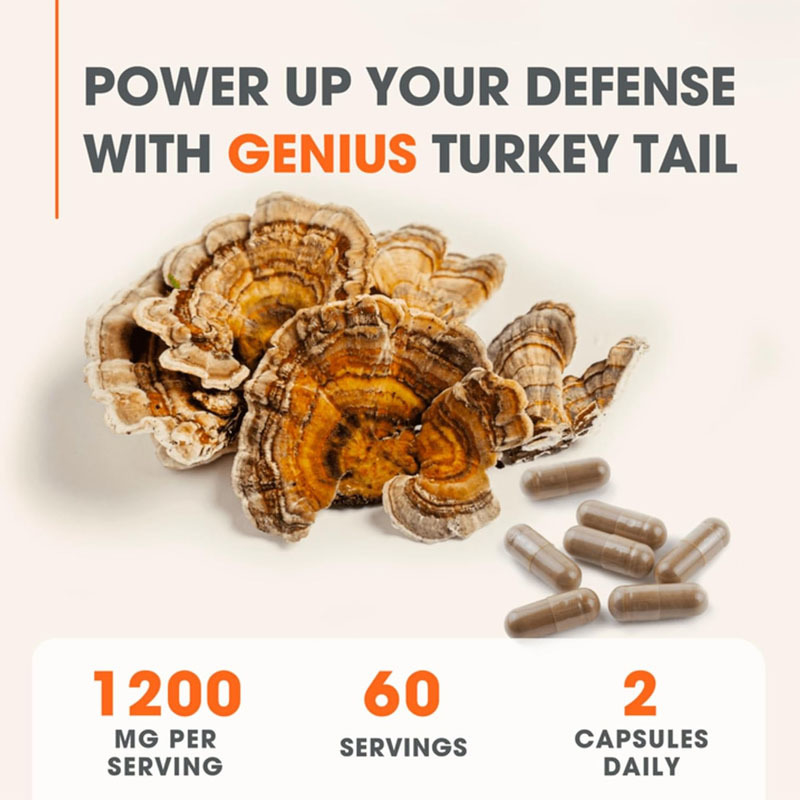 OEM Promoting Overall Wellness Support Body's Natural Defense Mechanisms Combat Oxidative Issues Turkey Tail Capsules