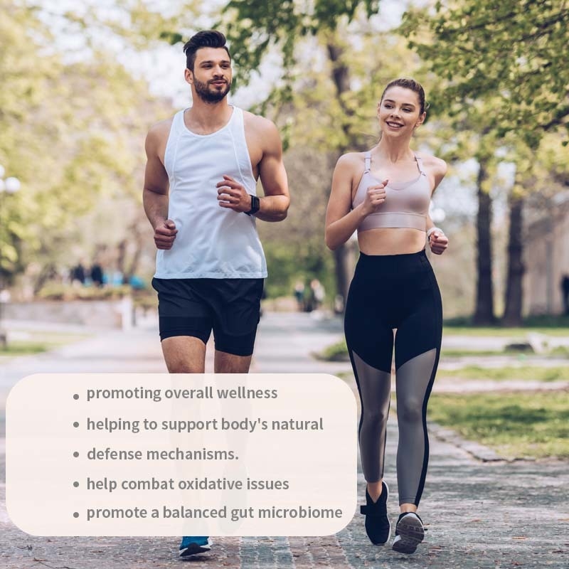 OEM Promoting Overall Wellness Support Body's Natural Defense Mechanisms Combat Oxidative Issues Turkey Tail Capsules