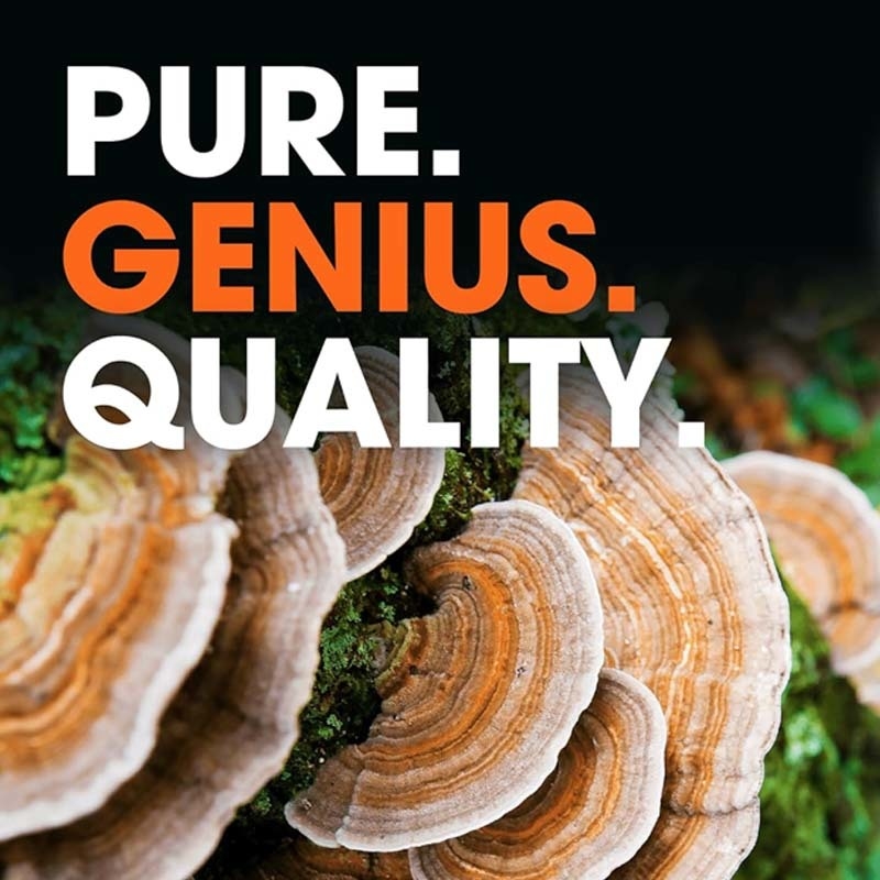 OEM Promoting Overall Wellness Support Body's Natural Defense Mechanisms Combat Oxidative Issues Turkey Tail Capsules