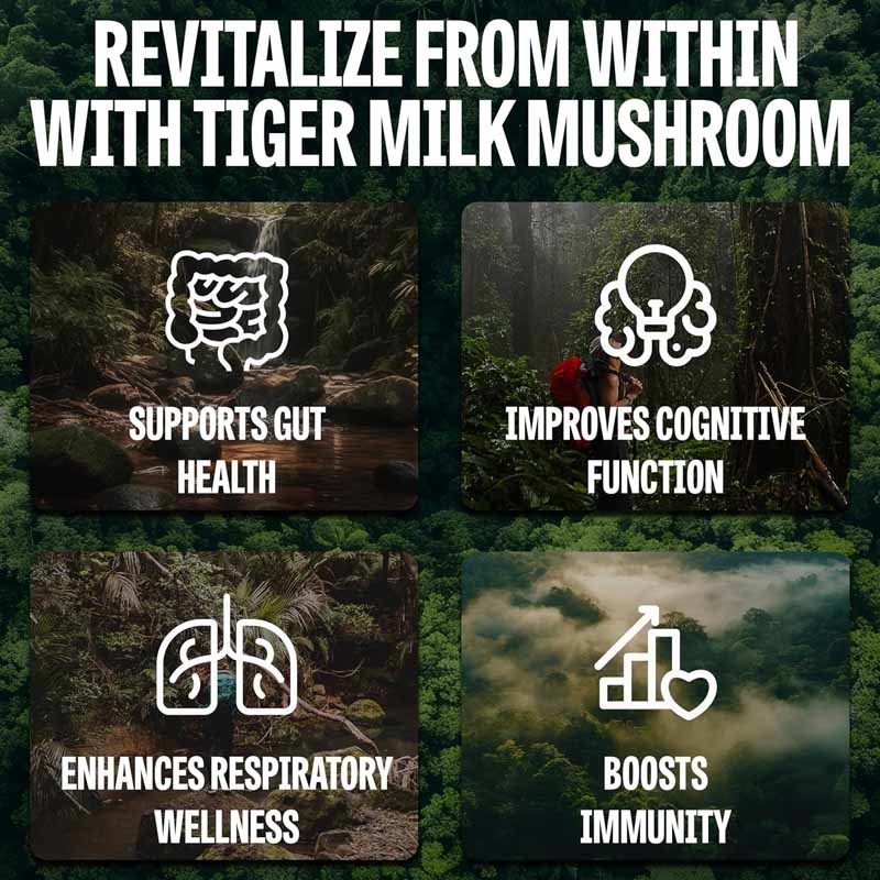 Mushroom Supplement Hair Growth Gut Digestive Brain Lung Health Cognitive Focus Respiratory Tiger Milk Mushrooms Capsules