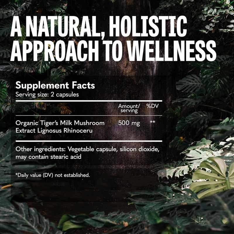 Mushroom Supplement Hair Growth Gut Digestive Brain Lung Health Cognitive Focus Respiratory Tiger Milk Mushrooms Capsules