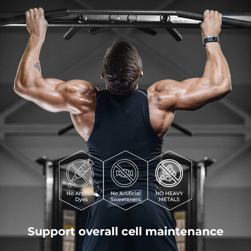 Private Label Shilajit Men's Gummies Fulvic Acid Sugar Free Supplement Maintain Normal Energy Levels and Immune Function