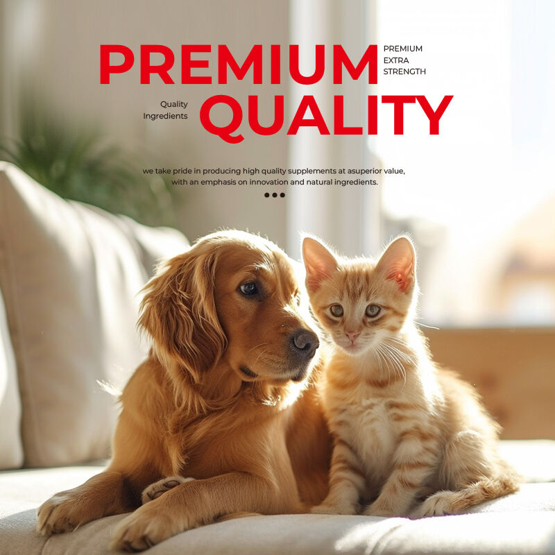 OEM Improve Gut Health Digestion Dog Vitamins and Supplements Health Supplement for Cats and Dogs Pet Probiotics Capsules