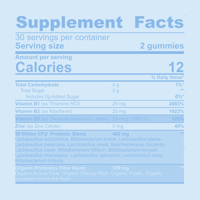 Sugar-Free Probiotic Prebiotic Gummies for Gut Flora Balance - 60 Count Digestive Wellness Support
