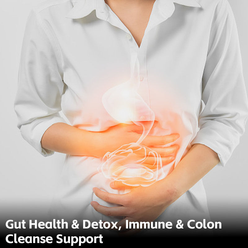High Purity L-Ergothioneine Capsules with Natural Antioxidant for Long-Term Dietary Support