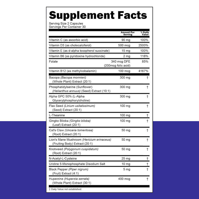 Brain Nutrient Blend Capsules | Natural Botanical Daily Mental Wellness Supplement with Alpha GPC, Phosphatidylserine & Bacopa Monnieri, OEM Private Label Customizable