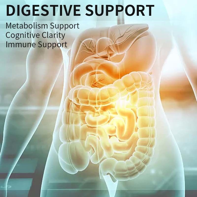 Natural Plant Extract Berberine Gummies with Customizable Flavor for Metabolism Support
