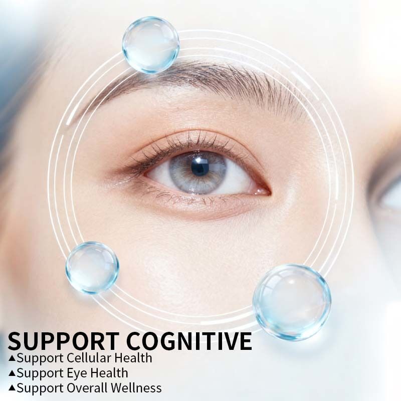 Multivitamin Capsules with Folate CoQ10 Lutein for Cognitive Eye Health Support | OEM Private Label Supplement