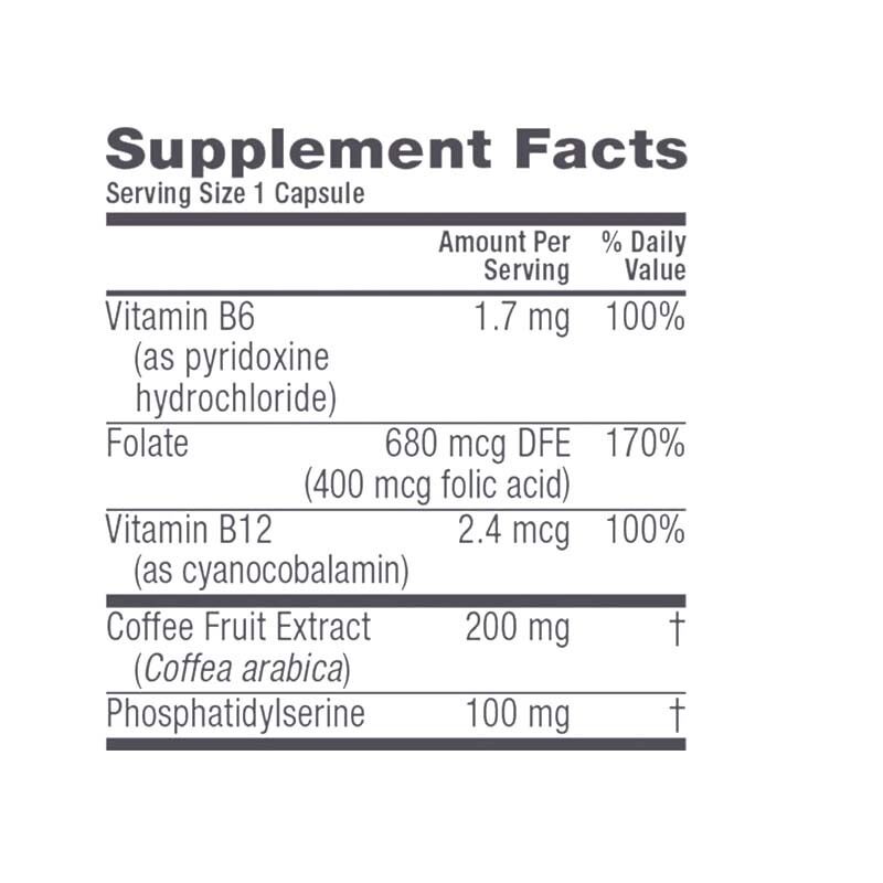 GMP ISO22000 Certified High Purity Alpha GPC Choline Capsules | Daily Phospholipid Dietary Supplement, OEM Customizable