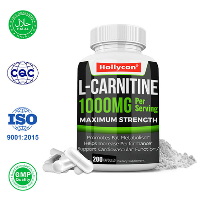 Private Label L Carnitine Capsules Promotes Fat Metabolism and Weight Management