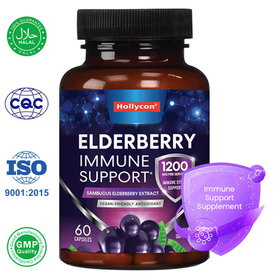 Factory Sambucus Black Elderberry Capsules Immune Support Supplement Antioxidant