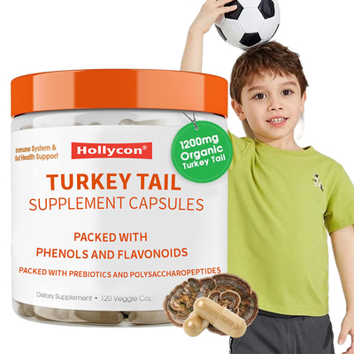 OEM Promoting Overall Wellness Support Body's Natural Defense Mechanisms Combat Oxidative Issues Turkey Tail Capsules