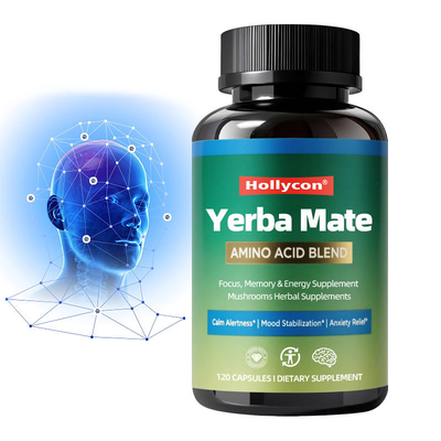 Yerba Mate Brain Formula Capsules with Bacopa Ginkgo Lions Mane 120ct