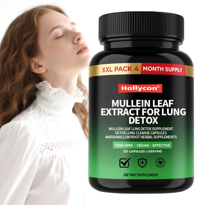 Mullein Leaf Extract Lung Support Supplement - 120 Capsules
