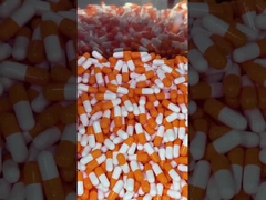 Mushroom Superfood Daily Boost Capsules